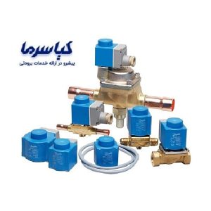 شیربرقی-دانفوس