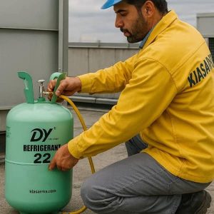 R22 دی وای