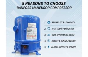 منیروپ-دانفوس