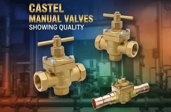 شیرهای کستل