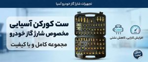 ست کورکن آسیایی